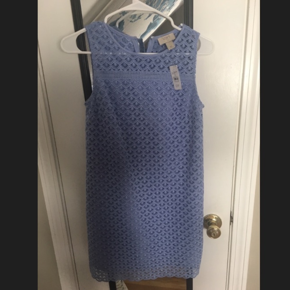 Loft Blue Shift Dress